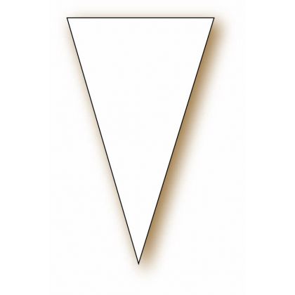 Paquet de 100 Triangles 6x10 cm neutres