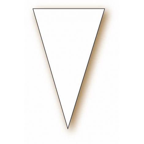 Paquet de 100 Triangles 6x10 cm neutres