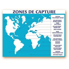 Panneau 30x40cm Zones de capture + fil nylon