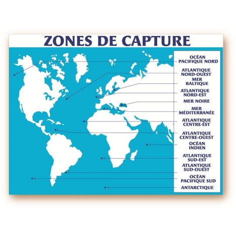 Panneau 30x40cm Zones de capture + fil nylon