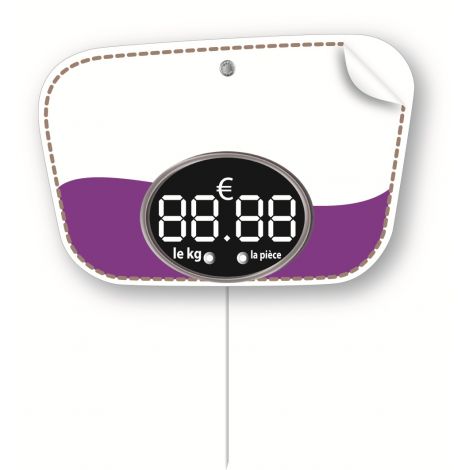 Paquet de 10 Etiquettes 8x12cm Electra violet neutre.pique inox+1 feutre fin