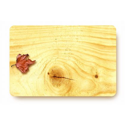 Paquet de 10 Etiquettes 8x12cm Planchette rectangle. sans roulettes.sans attach.