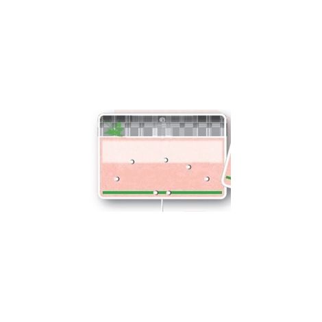 Paquet de 10 Etiquettes 8x12cm Tendance neutre. sans roulettes. pique inox