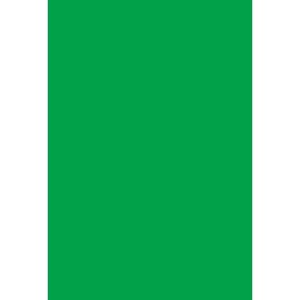 Paquet de 3 Ardoise 15x22cm. PVC expansé 3mm vert
