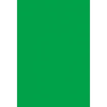 Paquet de 3 Ardoise 15x22cm. PVC expansé 3mm vert