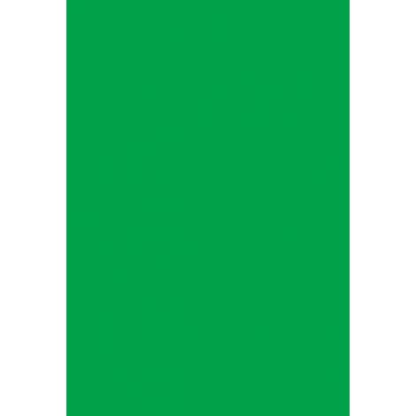 Paquet de 3 Ardoise 15x22cm. PVC expansé 3mm vert