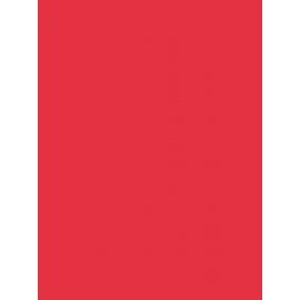 Paquet de 3 Ardoise 41x62cm. PVC expansé 3mm rouge