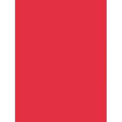 Paquet de 3 Ardoise 41x62cm. PVC expansé 3mm rouge