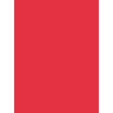 Paquet de 3 Ardoise 41x62cm. PVC expansé 3mm rouge