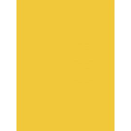 Paquet de 3 Ardoise 41x62cm. PVC expansé 3mm jaune