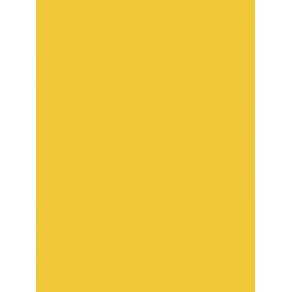 Paquet de 3 Ardoise 41x62cm. PVC expansé 3mm jaune