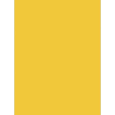 Paquet de 3 Ardoise 41x62cm. PVC expansé 3mm jaune